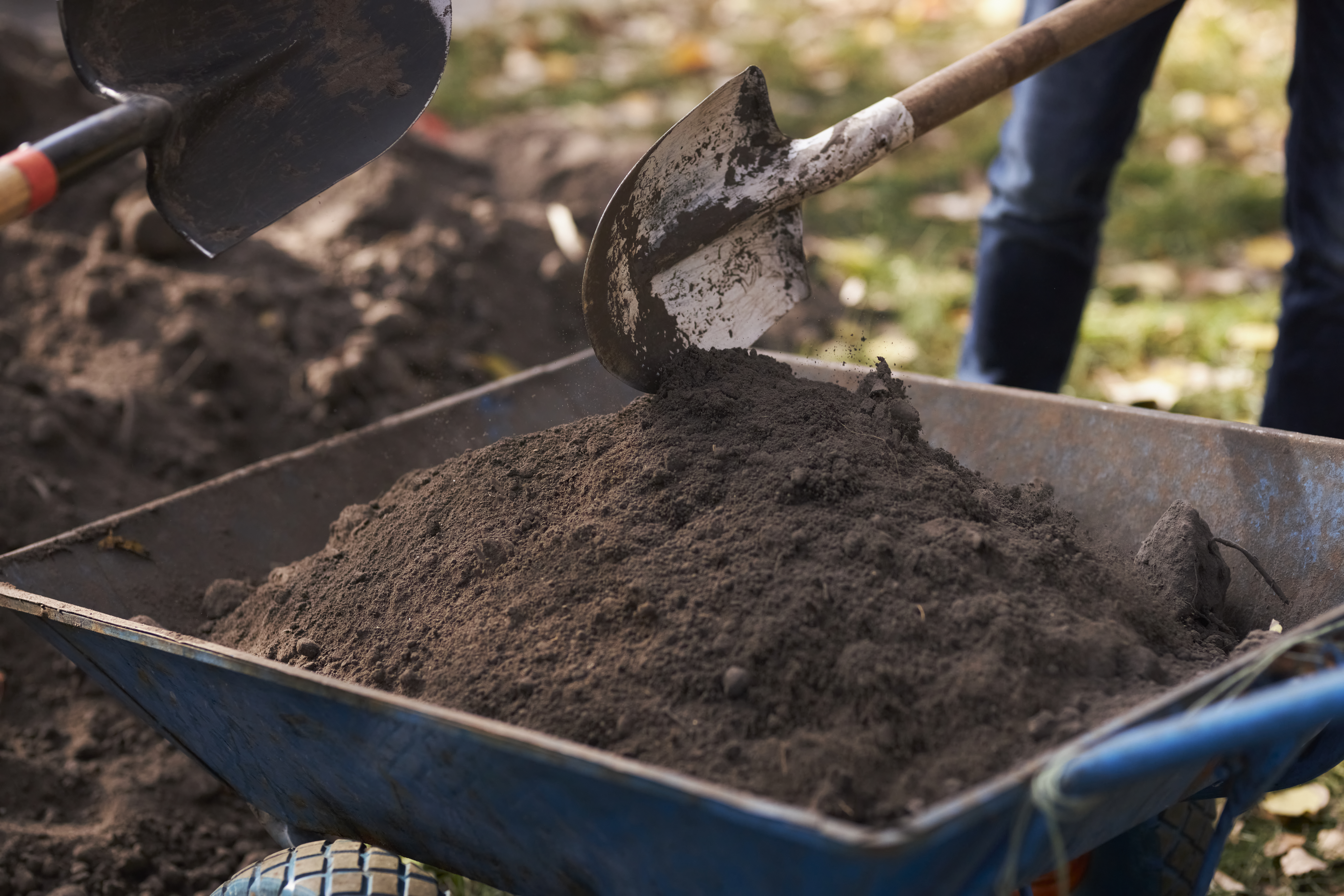 A wheelbarrow is seen nearly full of topsoil. Two spades are seen in the background alongside a pile of topsoil waiting to be loaded and removed by The Best landscapers in Hamilton.